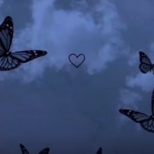 Meet your Posher, Shiloh